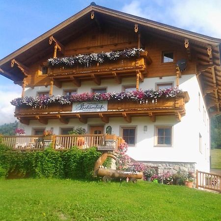 Ferienwohnungen Behamhof Neukirchen am Großvenediger Eksteriør billede