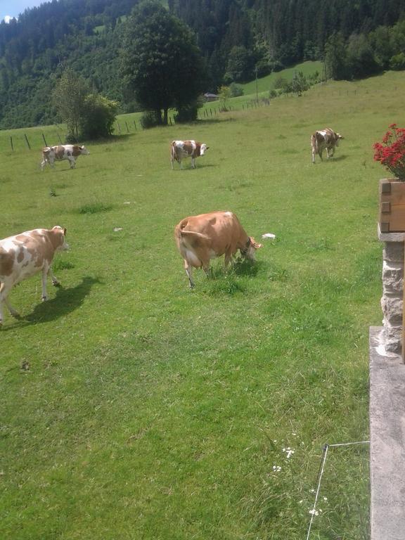 Ferienwohnungen Behamhof Neukirchen am Großvenediger Eksteriør billede